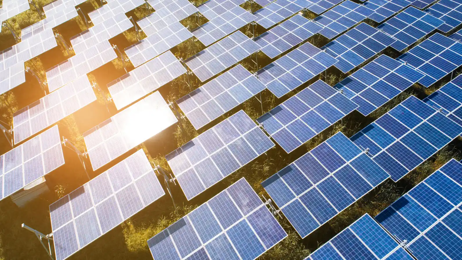 Paneles solares que aprovechan la energía renovable de los rayos del sol.